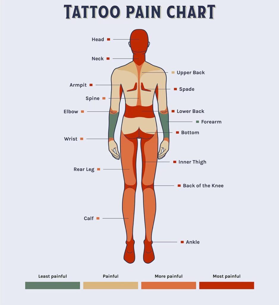 Tattoo pain levels and influencing factors - Molong Tattoo Supply